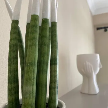 Cozy Flat Appartments In 아파트